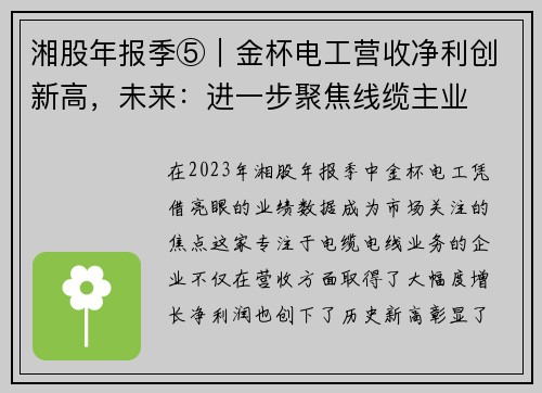湘股年报季⑤｜金杯电工营收净利创新高，未来：进一步聚焦线缆主业