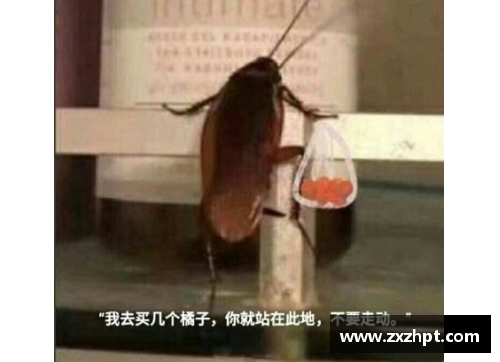 833直播“我买几个橘子去”——英超赛场上的中国网络神梗